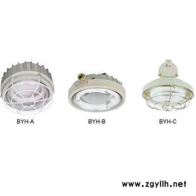 供应防爆灯 BYH 系列防爆环形荧光灯