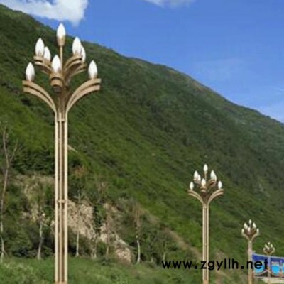 西安玉兰灯厂 ** 价位合理，造型美观，质量可靠 西安路灯厂