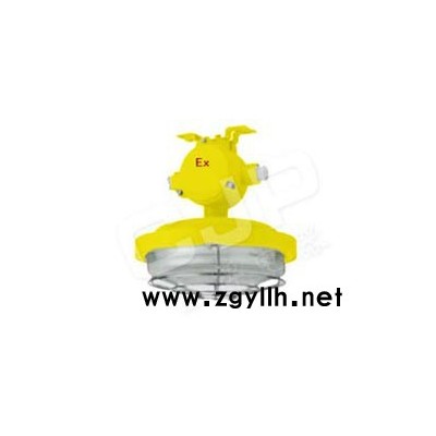 供应 BCW6221型防爆吸顶荧光灯