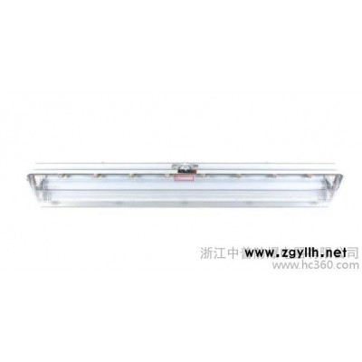 供应中普防爆灯具，防爆荧光灯，防爆照明灯，防腐全塑荧光灯