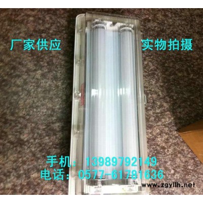 防爆防腐全塑荧光灯 BYS-2x36W双管荧光灯 双脚吸顶式