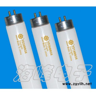 供应HAILUNT8-T12荧光灯管