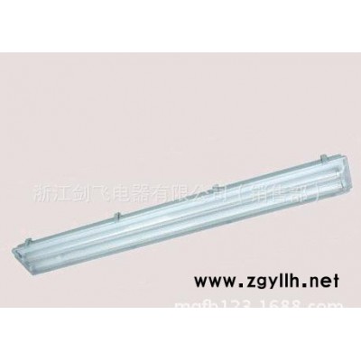 BAY51防水防尘防腐全塑荧光灯