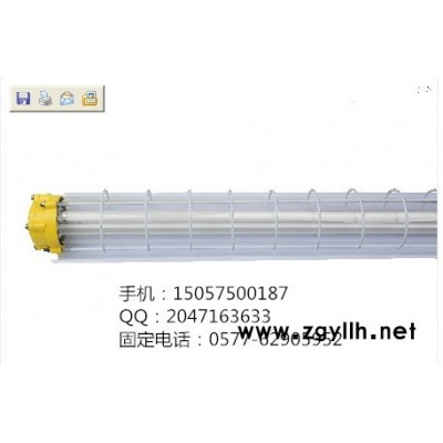 供应标普电器NFE001防爆荧光灯  单管