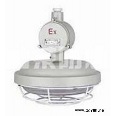 衢州供应新品dYD防爆环形荧光灯    南充供应特价dYD防爆环形荧光灯   dYD防爆环形荧光灯出售价