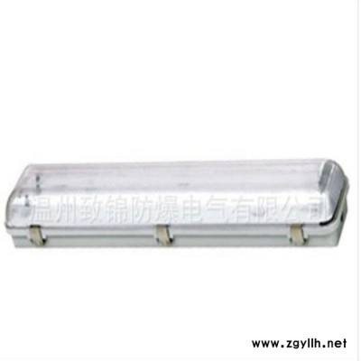 供应致锦FPY系列防水防尘防腐全塑荧光灯