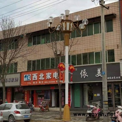 华冠照明 西安中华灯厂家 中华灯路灯 中华灯配件 造型美观