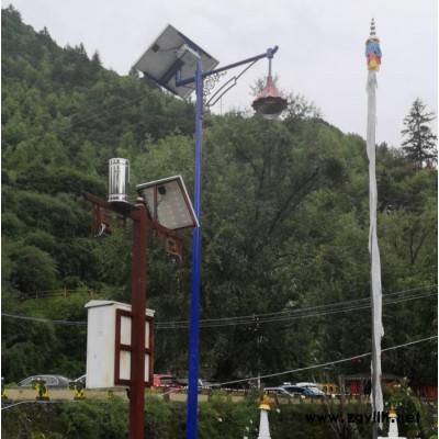 胜隆伟业TYN-0105 7m四川藏式太阳能路灯生产厂家丶藏式景观灯太阳能灯