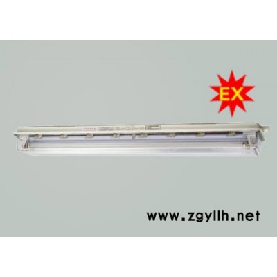 新黎明 上海新黎明BYS防爆防腐应急全塑荧光灯