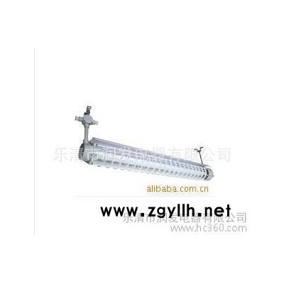 防爆灯 防爆荧光灯1x40W单管 2X40W双管 防爆日光灯