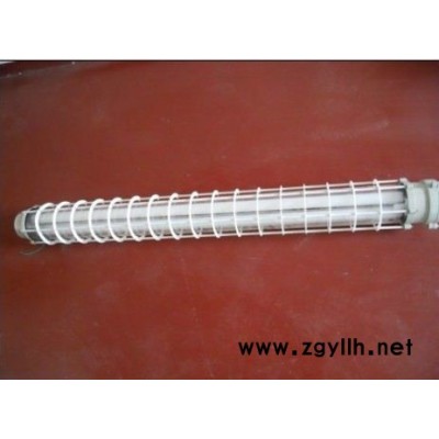 辉策防爆BPY防爆荧光灯1*40W/220V,温州防爆荧光灯生产厂家