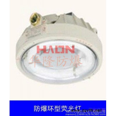 CCd96-22防爆环形荧光灯，防爆灯