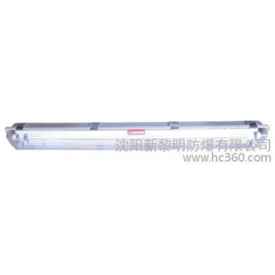 供应BYS系列防爆防腐全塑荧光灯防爆灯
