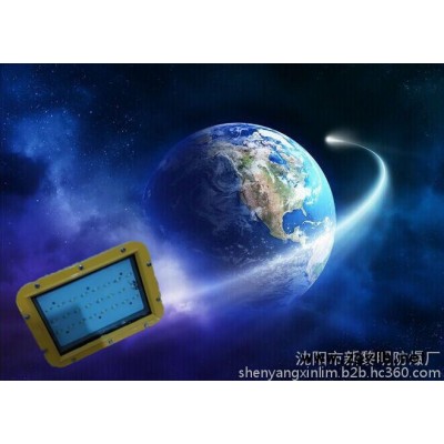 南海油田哪里卖-防爆荧光灯牌的防爆荧光灯\\IP56/ExdIIBT4\\220V\\2×60W