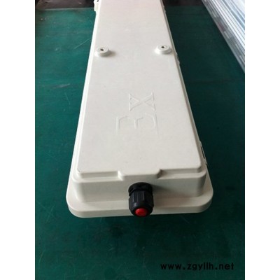 BYS51防爆防腐全塑荧光灯