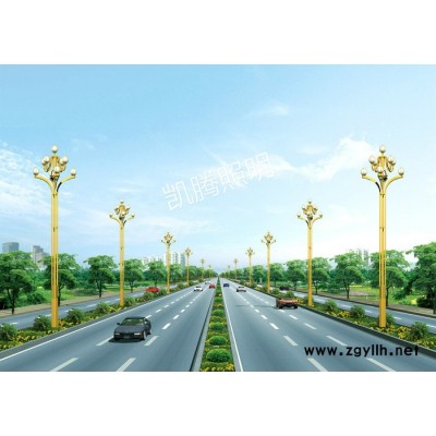 常年销售 组合灯 LED组合灯 组合景观灯 LED组合景观灯 支持定制 led路灯批发 led组合灯价格
