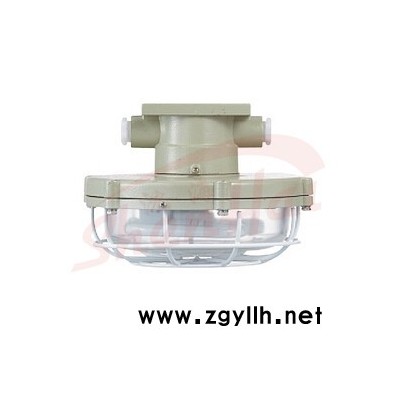 BYH系列防爆环形荧光灯  防爆灯具