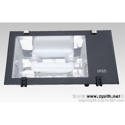 隧道无极荧光灯生产商价格优惠质量保证