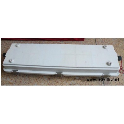 供应防爆灯BYS-DIP系列粉尘防爆防腐全塑荧光灯