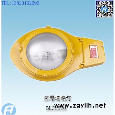 BLC8610防爆道路灯