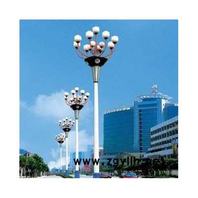 供应DL-006盛友照明 订货    路灯 定金专用链接