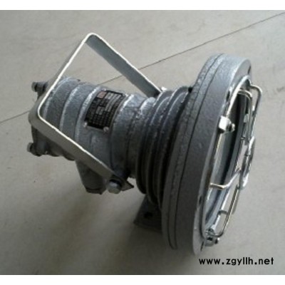 宜春供应DGS20/127Y矿用隔爆荧光灯   矿用隔爆荧光灯限量