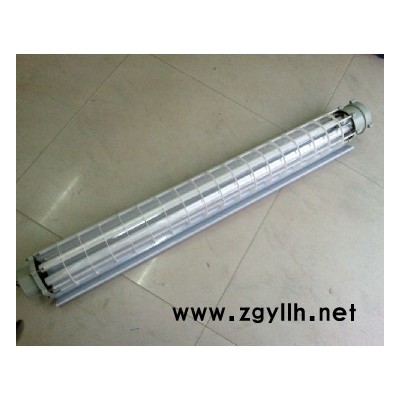 防爆灯具  dYD防爆荧光灯