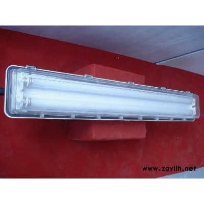 防爆灯具 BYS防爆全塑荧光灯