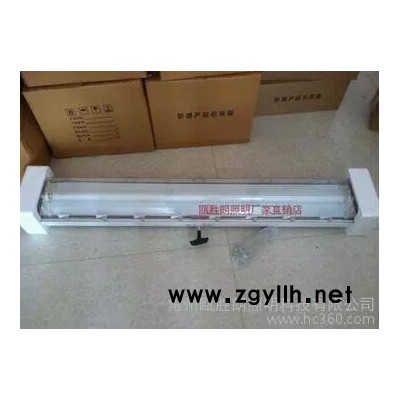 AYS防爆防腐全塑荧光灯 全塑防爆日光灯 华荣GFD6010防水防尘灯