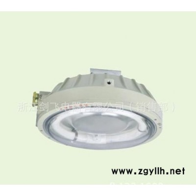 BAY53-H22W防爆环形荧光灯(ⅡC)