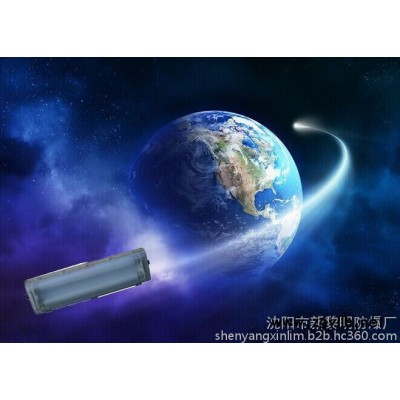 BYD53S防爆全塑应急荧光灯#8203;=芜湖-失败时候表现出的风格）=BYD53S防爆全塑应急荧光灯=电厂