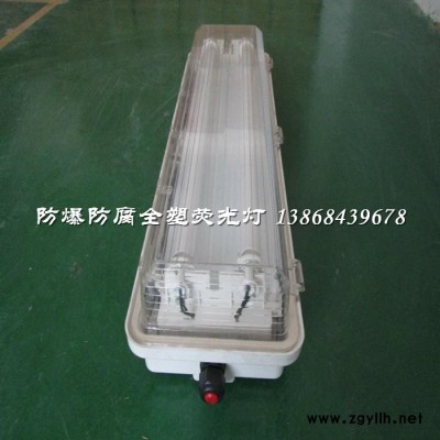 BYS52-T5防爆防腐全塑荧光灯