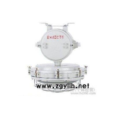 供应长亿BYH-H系列防爆环形荧光灯1