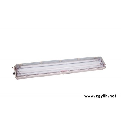供应 防爆灯 SFY51系列防水防尘防腐全塑荧光灯