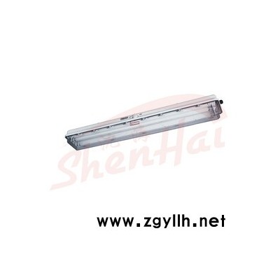 BYS系列防爆防腐全塑荧光灯  防爆灯具