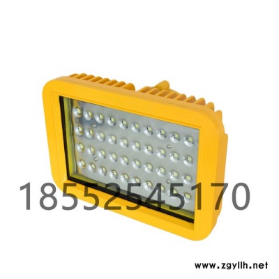 LED嵌入式防爆格栅灯30w防爆灯防爆日光灯油站灯防爆洁净荧光灯嵌LED油站灯嵌入式油站灯站台灯三防吸顶式泛光灯防水防尘