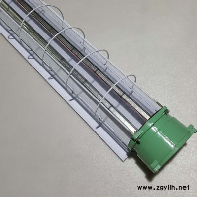 防爆灯具 LED防爆双管支架1200mm 防爆支架厂家 LED防爆灯架 双管防爆LED荧光灯工厂 隔爆型防爆灯
