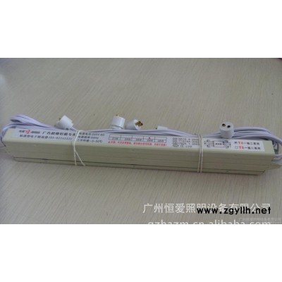 电子镇流器 T4荧光灯管28W 标准型 一拖二