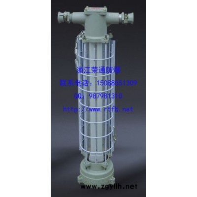 乐清**矿用防爆荧光灯 巷道灯DGS36/127Y