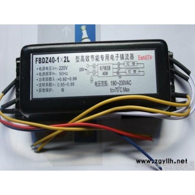 供应FBDZ40-1-2L 1托2 40W防爆单脚荧光灯电子镇流器