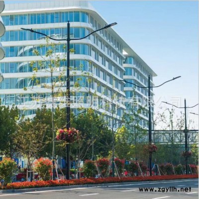 赛维定制批发城市公路交通标志杆 红绿灯杆 LED路灯杆综合杆 多杆合一