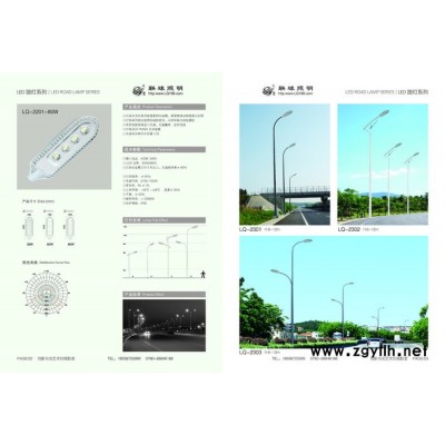 联球景观照明LED路灯户外灯工程灯定制LQ2601 led路灯