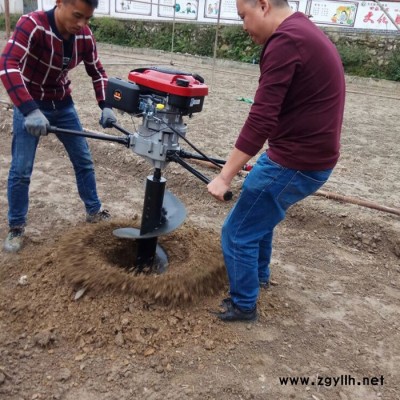 园林种植挖坑机机械 植树专用锰钢打眼机 启航路灯杆打眼机价格