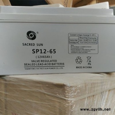 圣阳蓄电池SP12-200阀控式蓄电池12V200AH太阳能路灯通用