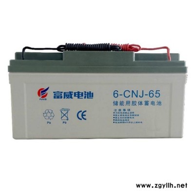 富威蓄电池6-CNJ-38 储能用胶体电池12V38AH交通信号灯 太阳能路灯用