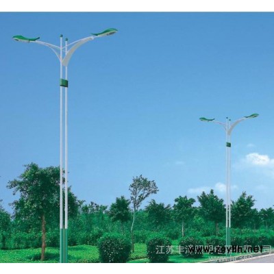 12米路灯灯杆  专业生产12米路灯灯杆  路灯灯杆直销