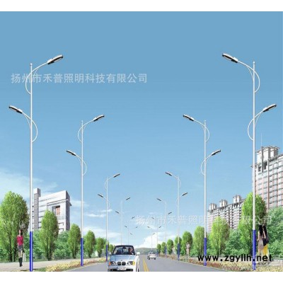 路灯直销 扬州生产 双臂路灯8米 led路灯