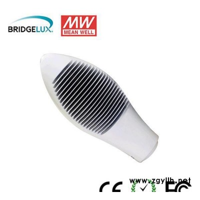 专业生产 LED路灯， LED路灯灯头， LED路灯80W 直销