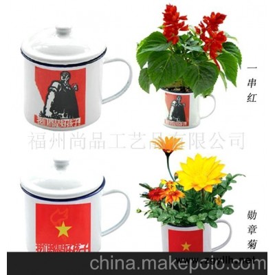 批发集市-热销混批，供应时尚园艺，DIY，小盆栽