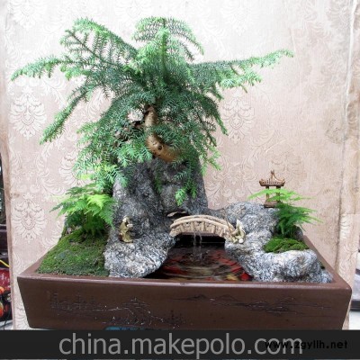 厂家批发 真植物澳洲杉流水盆景 A070-3 室内外盆景